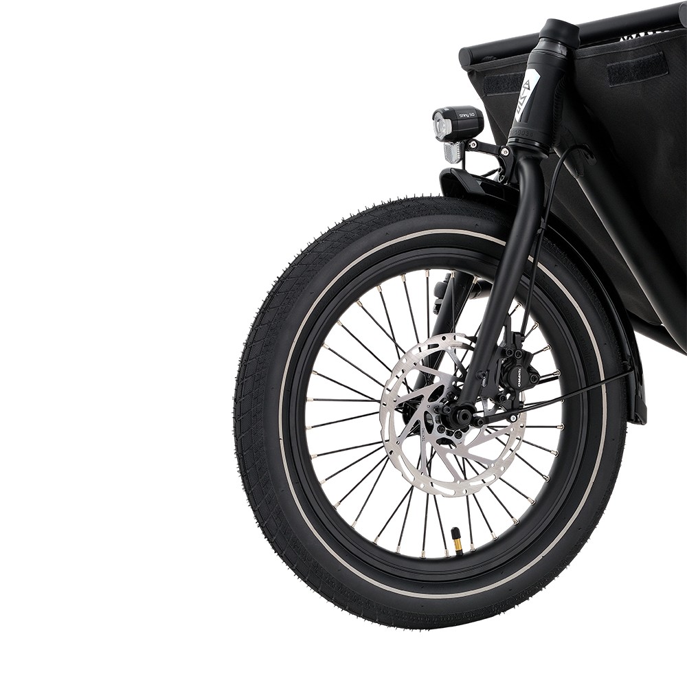 Vélo cargo électrique familial Atmose modèle P ESP3 pour le transport d'enfants et d'animaux de compagnie
