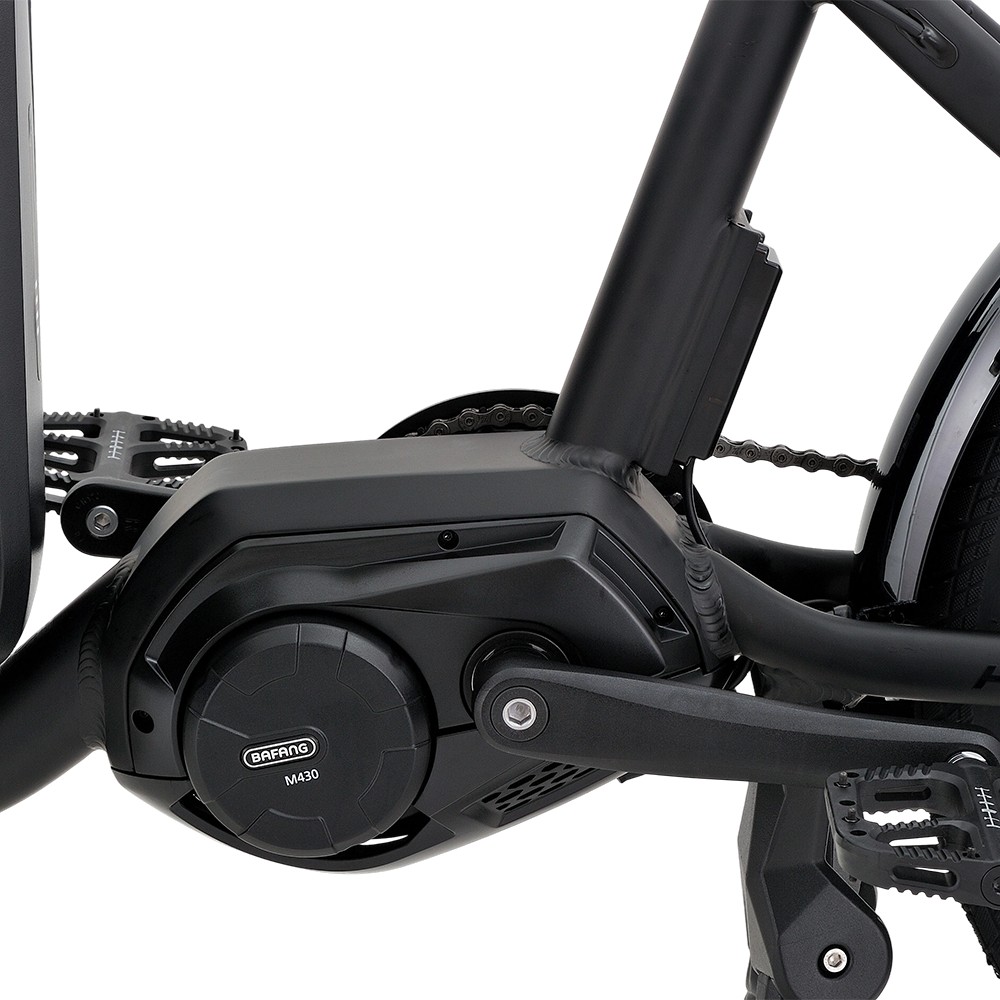 Vélo cargo électrique familial Atmose modèle P ESP3 pour le transport d'enfants et d'animaux de compagnie