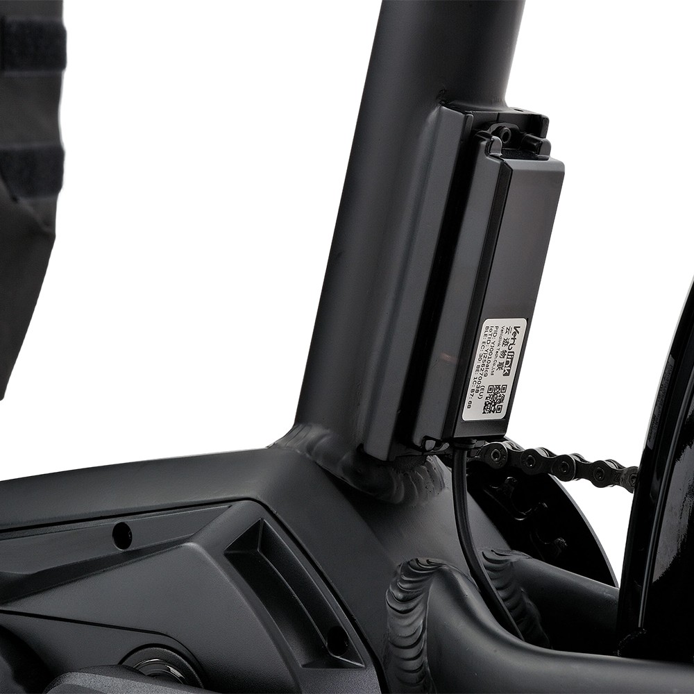 Vélo cargo électrique familial Atmose modèle P ESP3 pour le transport d'enfants et d'animaux de compagnie