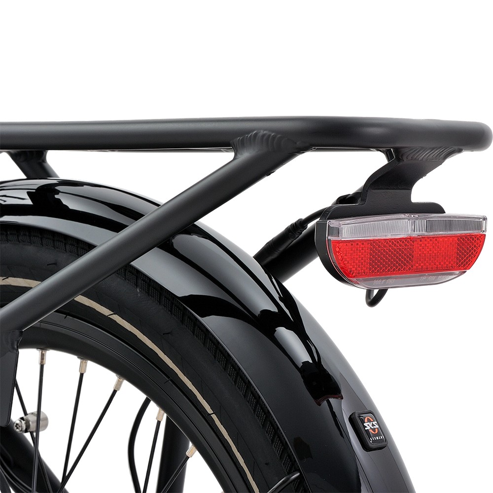 Vélo cargo électrique familial Atmose modèle P ESP3 pour le transport d'enfants et d'animaux de compagnie