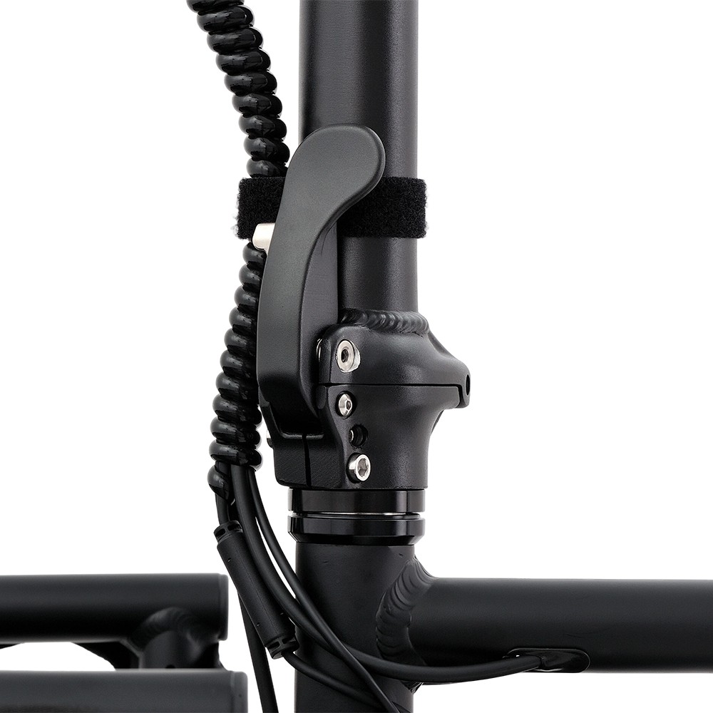 Vélo cargo électrique familial Atmose modèle P ESP3 pour le transport d'enfants et d'animaux de compagnie