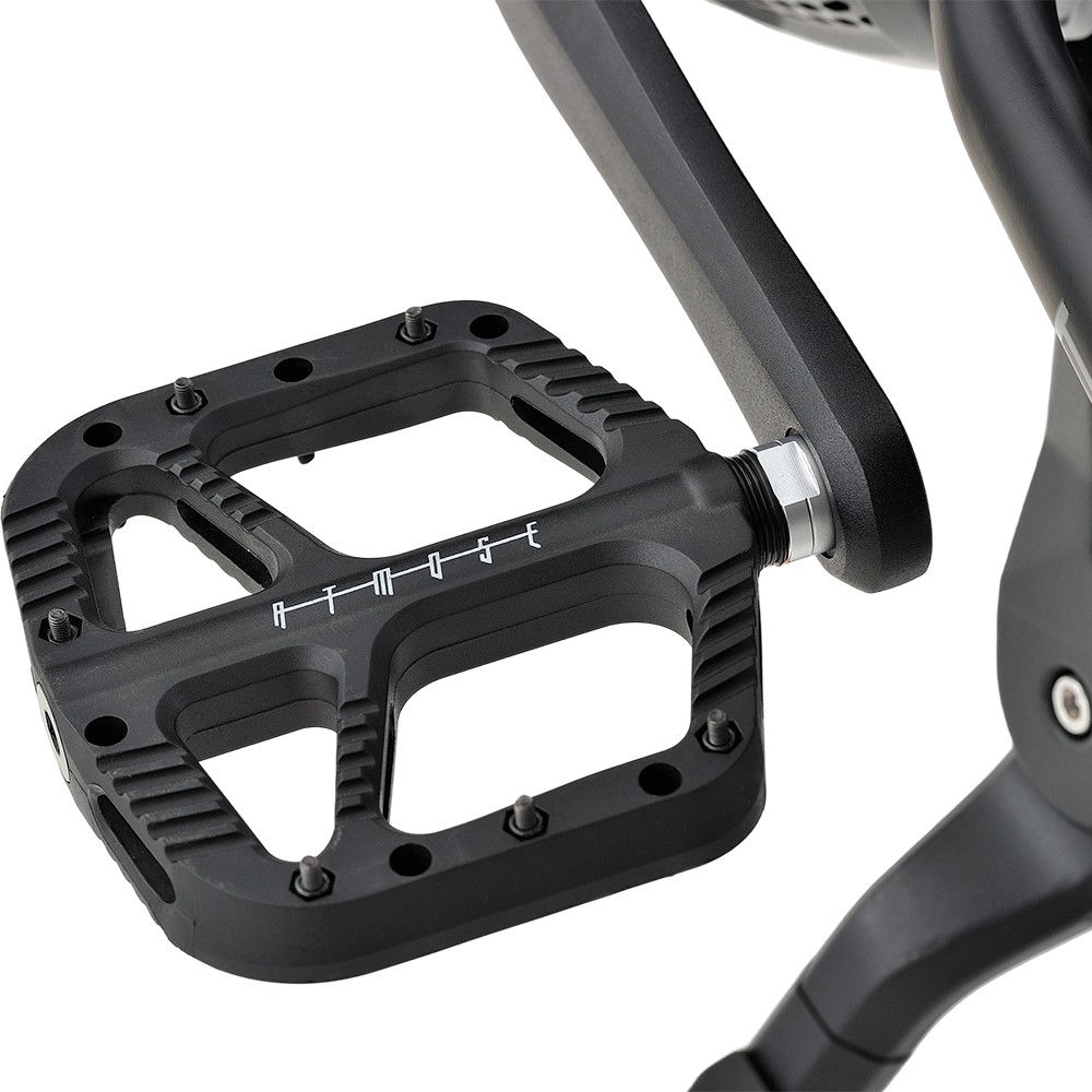 Vélo cargo électrique familial Atmose modèle P ESP3 pour le transport d'enfants et d'animaux de compagnie
