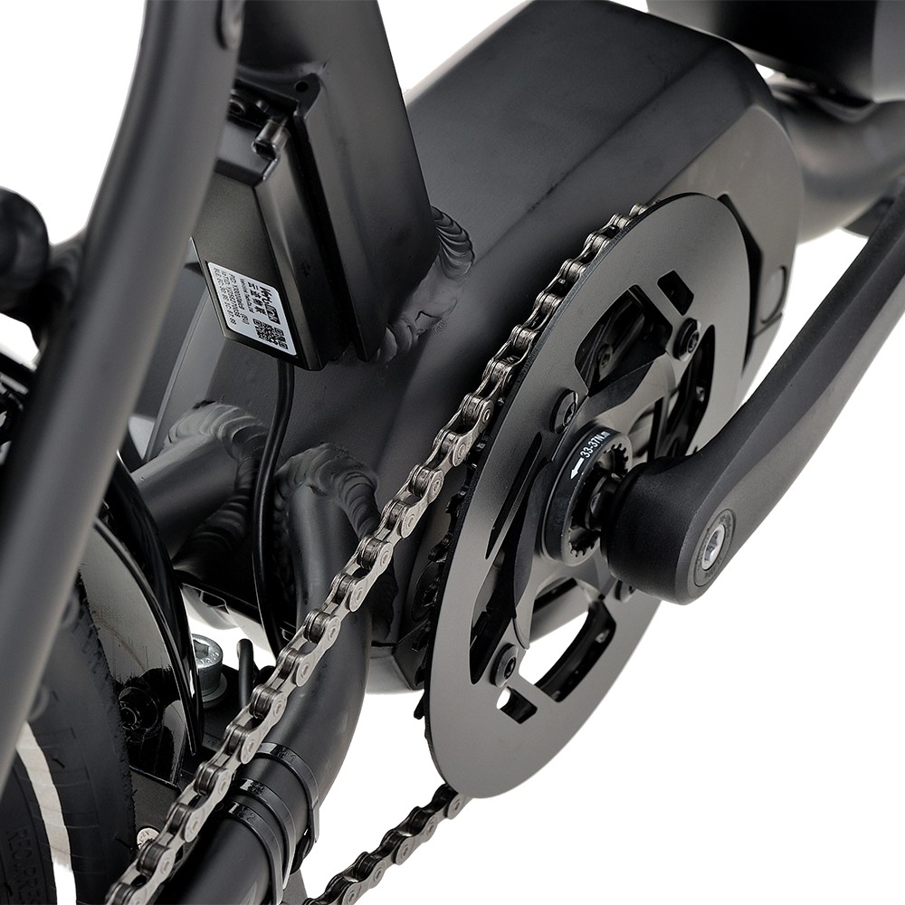 Vélo cargo électrique familial Atmose modèle P ESP3 pour le transport d'enfants et d'animaux de compagnie