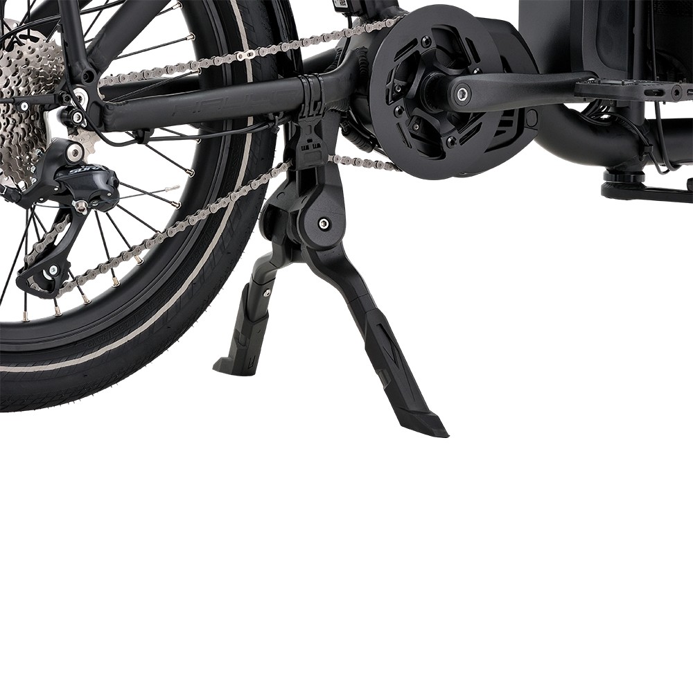 Vélo cargo électrique familial Atmose modèle P ESP3 pour le transport d'enfants et d'animaux de compagnie