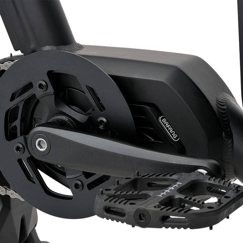 Vélo cargo électrique familial Atmose modèle P ESP3 pour le transport d'enfants et d'animaux de compagnie