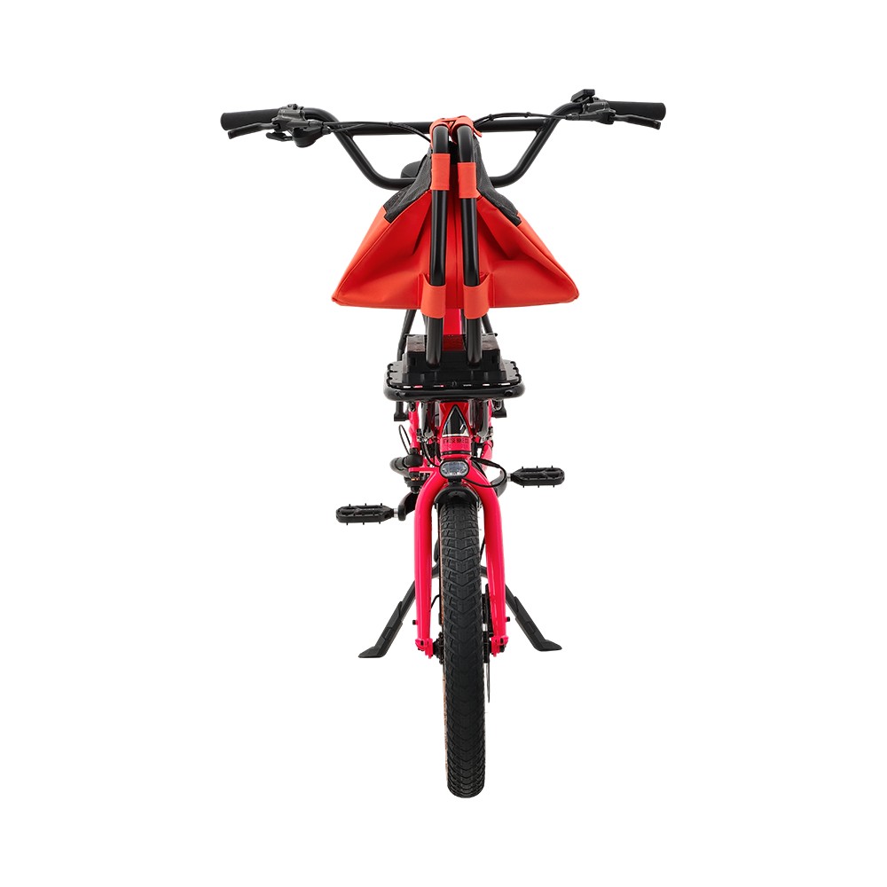 Vélo cargo d'aventure Atmose modèle V ESV1 avec support de camping avant surdimensionné